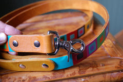 Colored Squares Dog Leash