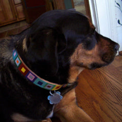 Leather Dog Collar with Colored Squares