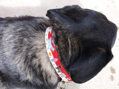 It Takes a Village leather Dog Collar