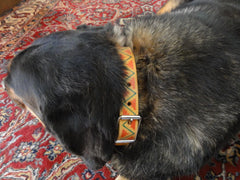 Geometric leather Dog Collar