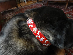 Dog Collar with Day of the Dead Design