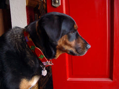 Teepees and Cactus leather Dog Collar