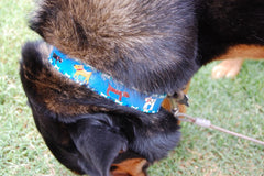 Doggy Dog Collar